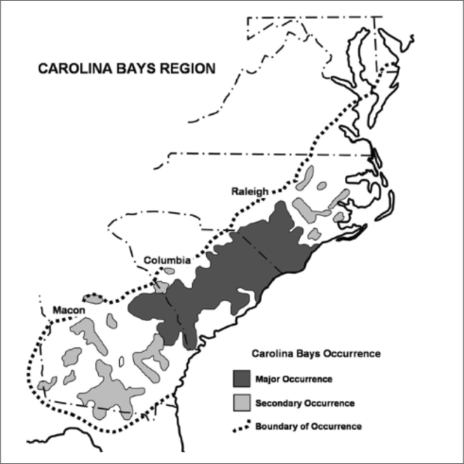 Guide to the littoral zone vascular flora of Carolina bay lakes (U.S.A.)