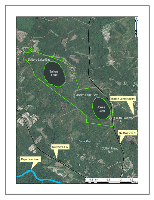 Guide to the littoral zone vascular flora of Carolina bay lakes (U.S.A.)