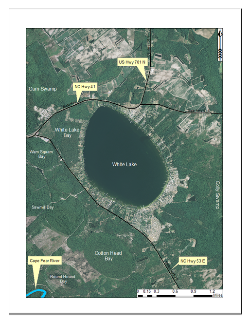 Guide to the littoral zone vascular flora of Carolina bay lakes (U.S.A.)