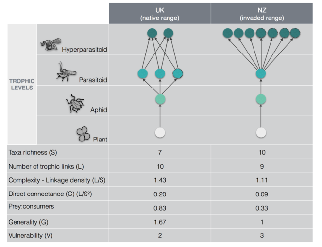 Disentangling Higher Trophic Level Interactions In The Cabbage Aphid Food Web Using High Throughput Dna Sequencing