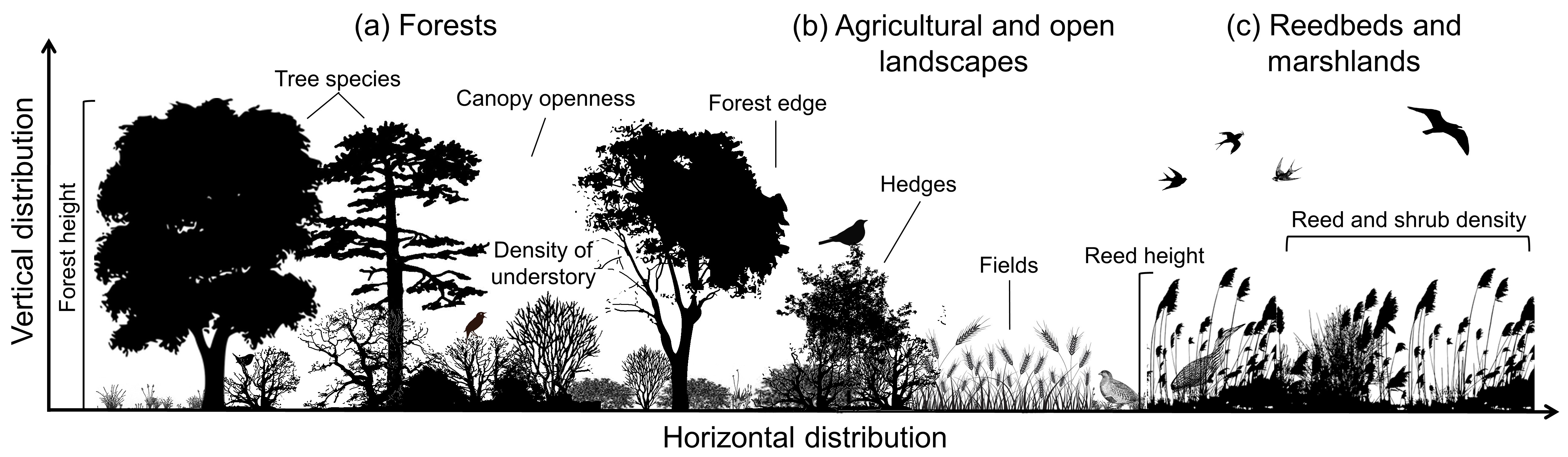 Pensoft Writing Tool