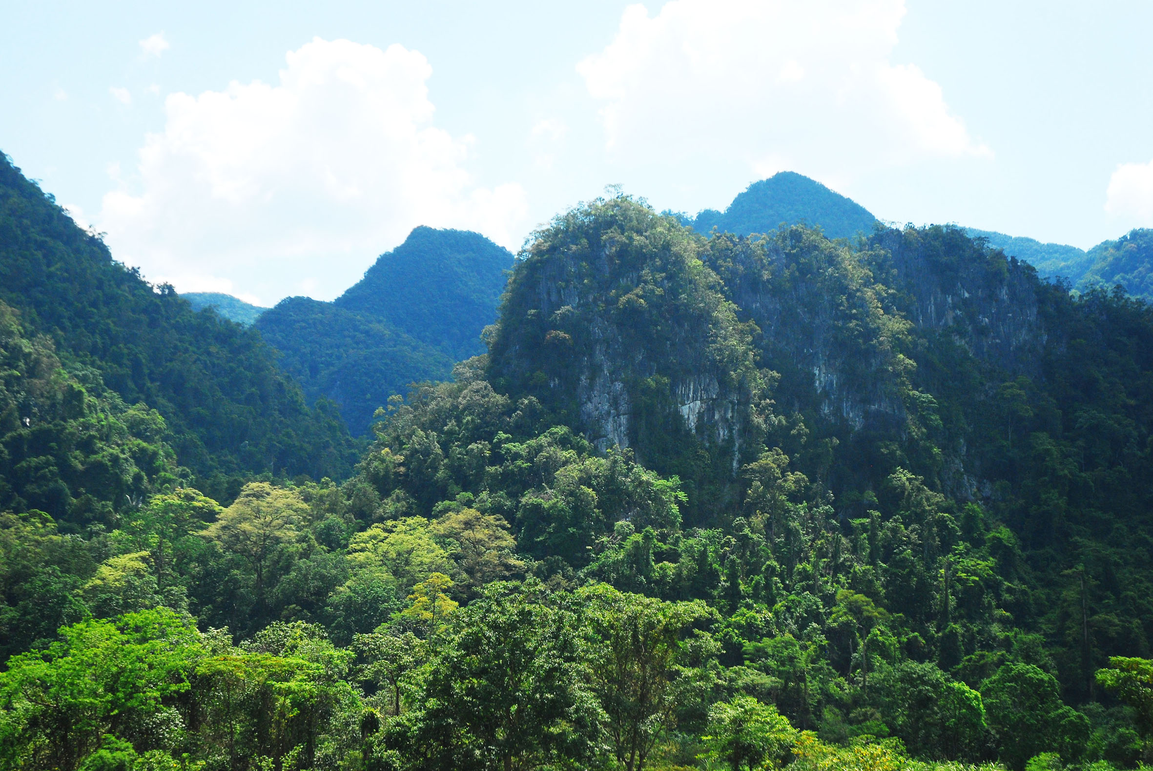 Distribution and habitat of the Laotian Rock Rat Laonastes aenigmamus ...