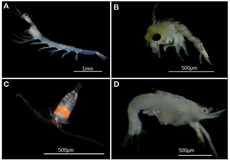 From Marine Park To Future Genomic Observatory? Enhancing Marine 