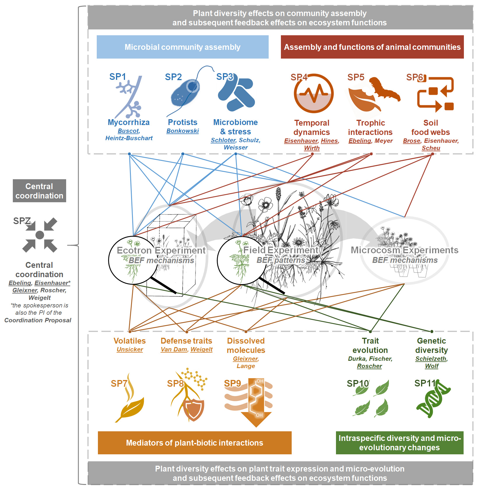 what are the interactions and relationships in an ecosystem