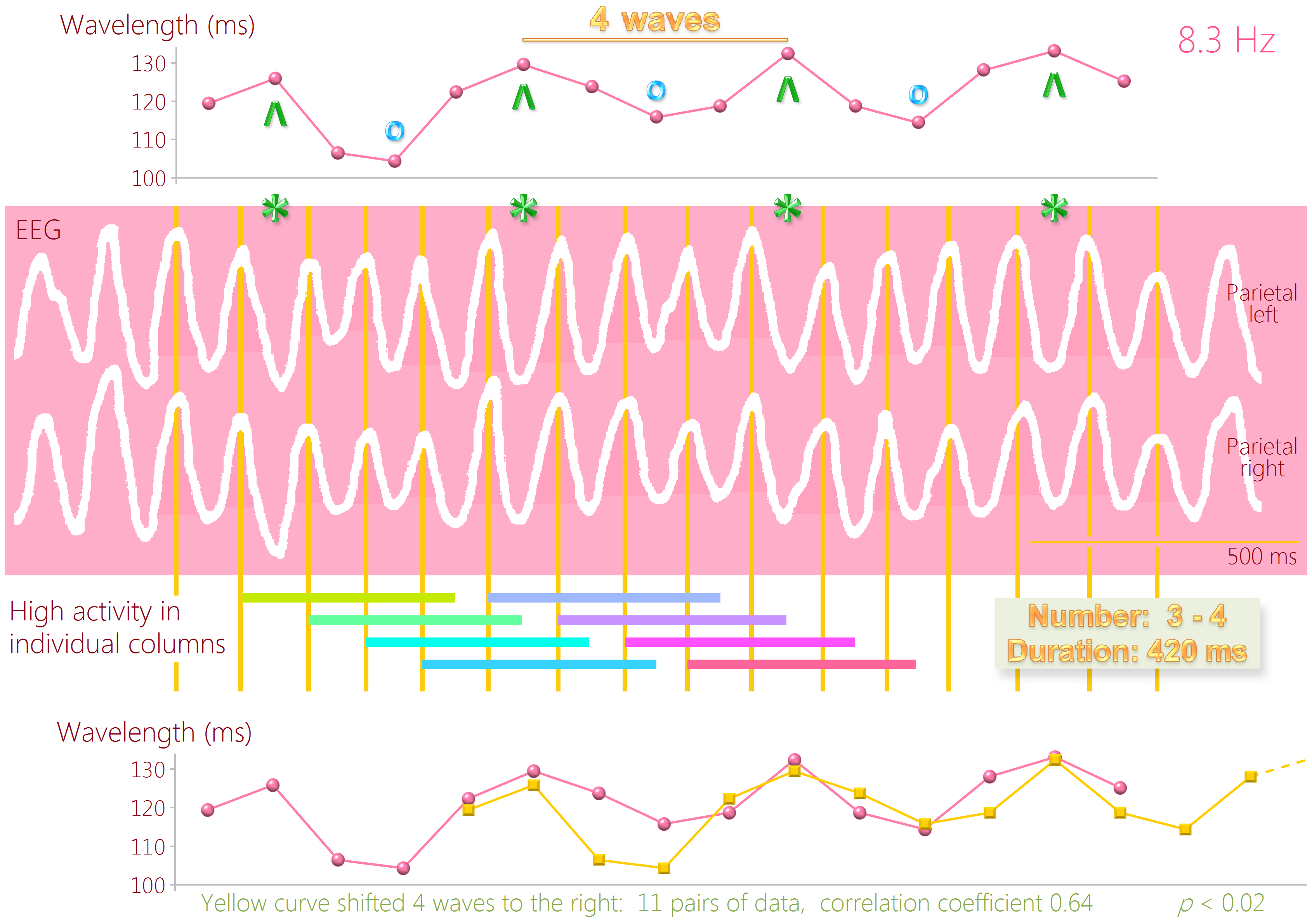 variation-in-length-of-alpha-waves-reveals-how-forebrain-activity-is