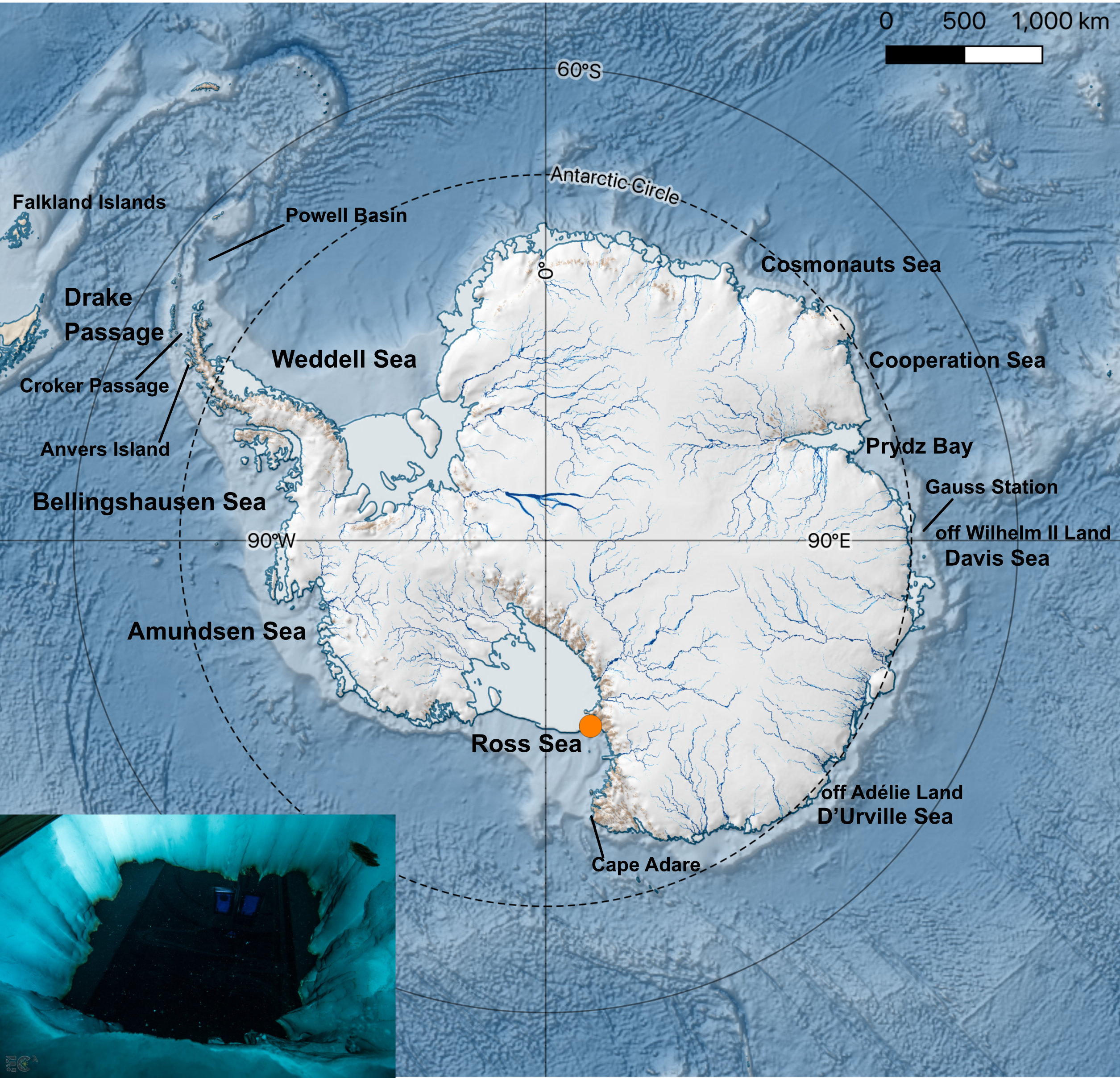 Life beneath the ice: jellyfish and ctenophores from the Ross Sea ...