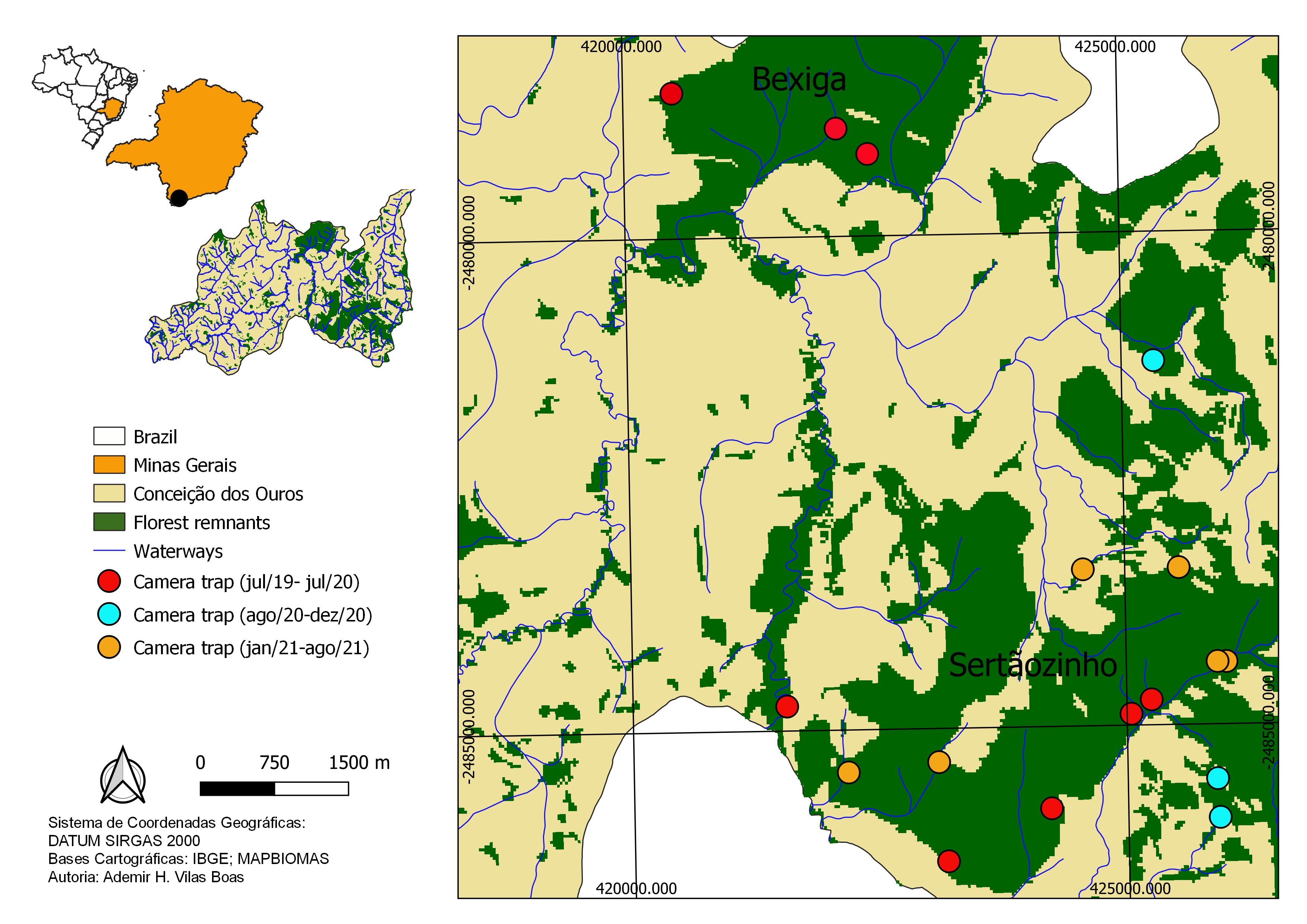 Survey of medium- and large-sized mammals in Atlantic Forest remnants ...