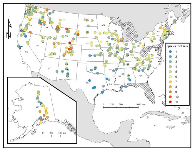 USBombus, a database of contemporary survey data for North American ...