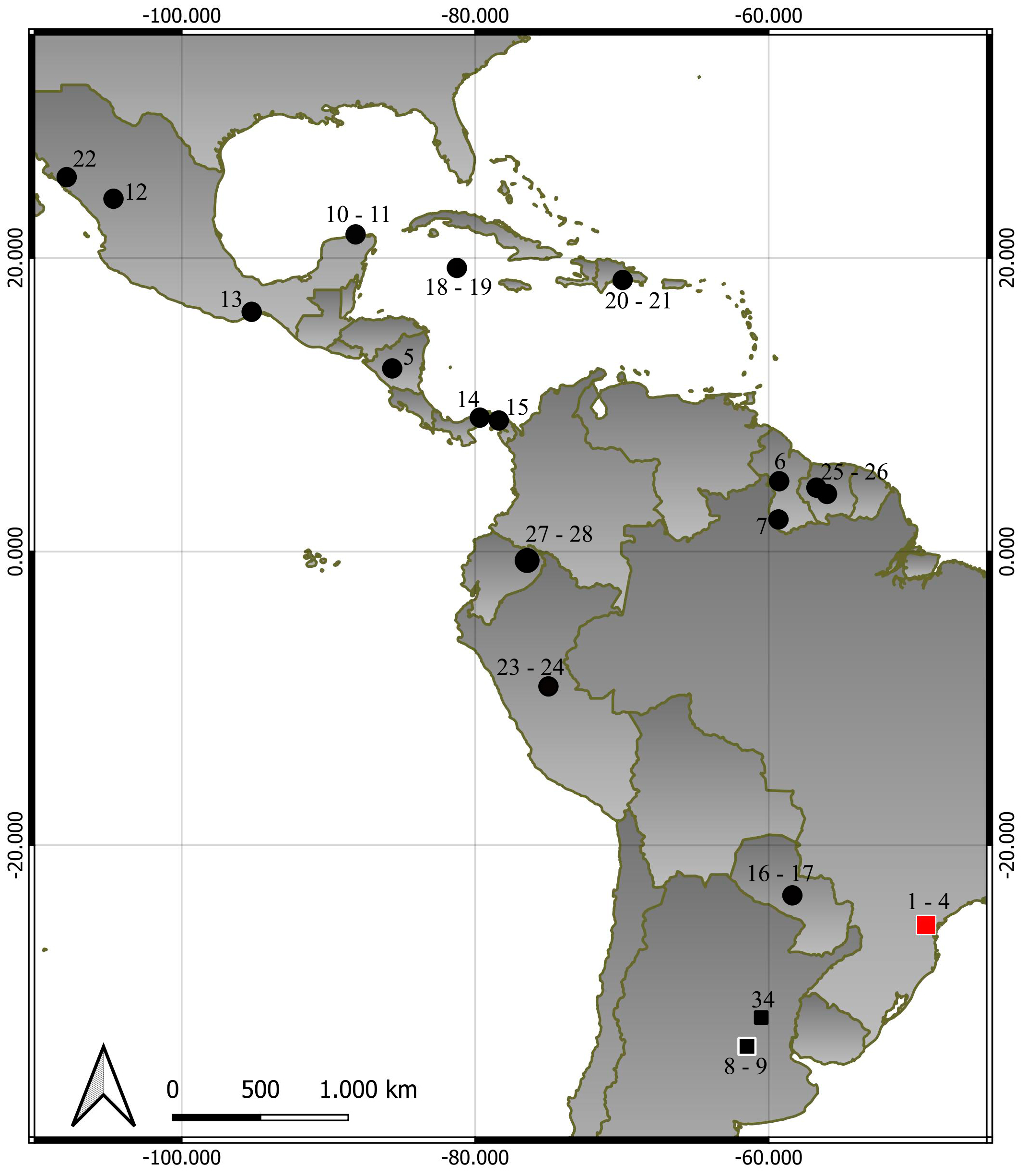 Molossus melini Montani et al. 2021 (Chiroptera, Molossidae) in Brazil ...